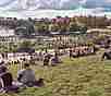 mauerpark